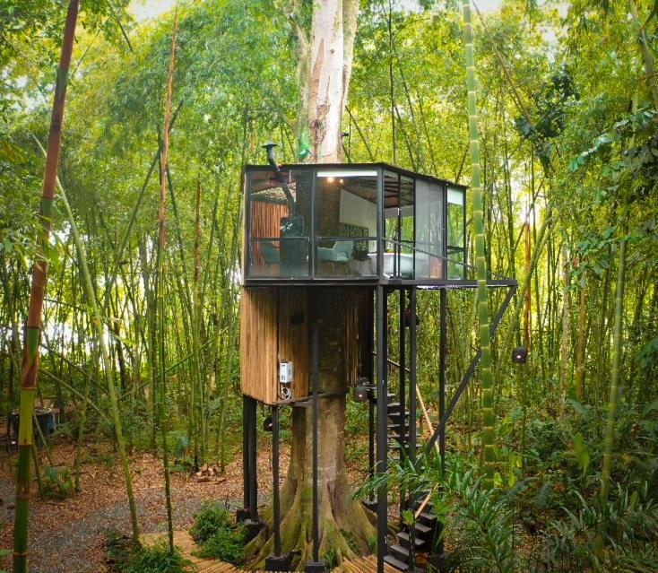 Amanatu Ecolodge & Spa Quimbaya Bagian luar foto