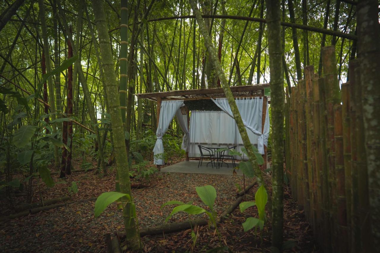 Amanatu Ecolodge & Spa Quimbaya Bagian luar foto