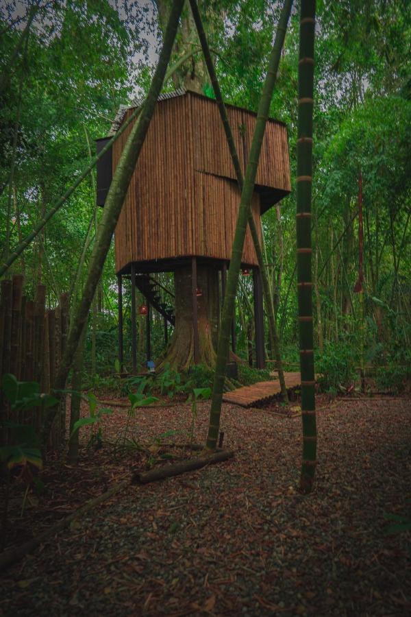 Amanatu Ecolodge & Spa Quimbaya Bagian luar foto