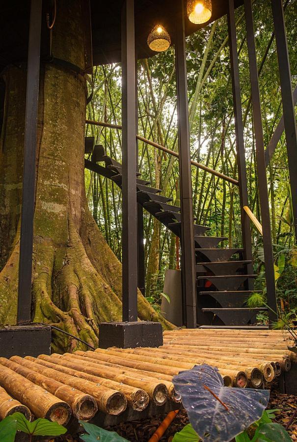 Amanatu Ecolodge & Spa Quimbaya Bagian luar foto