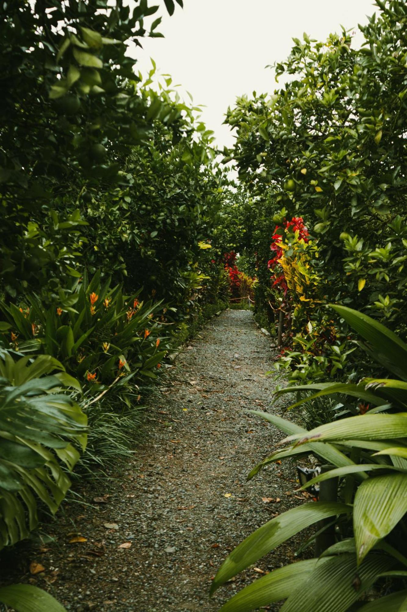 Amanatu Ecolodge & Spa Quimbaya Bagian luar foto